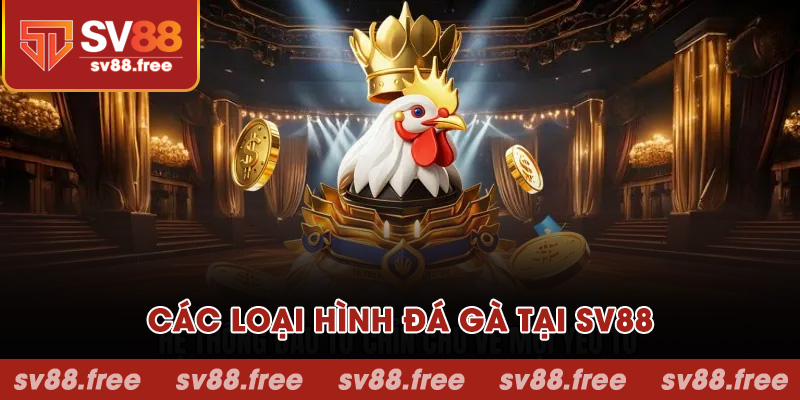 Các loại hình đá gà tại SV88