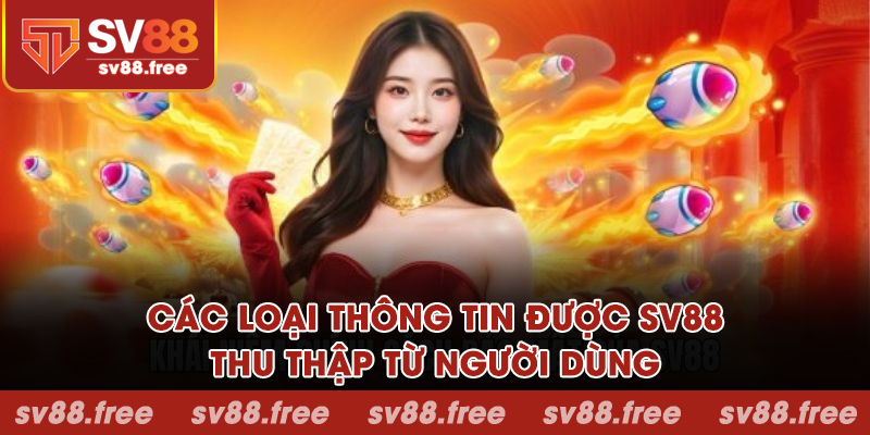 Các loại thông tin được SV88 thu thập từ người dùng