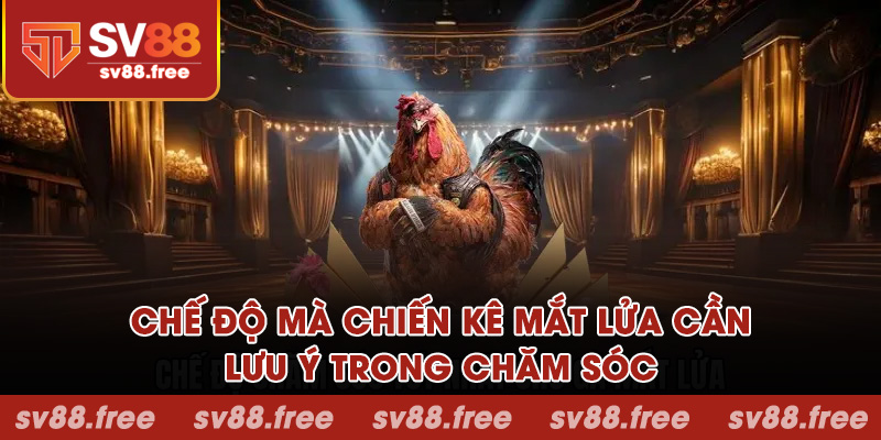 Chế độ mà chiến kê mắt lửa cần
