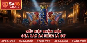 Dấu hiệu nhận diện vảy án thiên là gì?