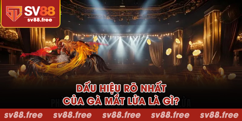 Dấu hiệu rõ nhất của gà mắt lửa là gì?