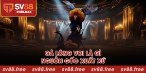 Gà lông voi là gì và nguồn gốc xuất xứ