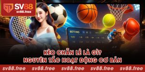 Kèo chẵn lẻ là gì? Nguyên tắc hoạt động cơ bản