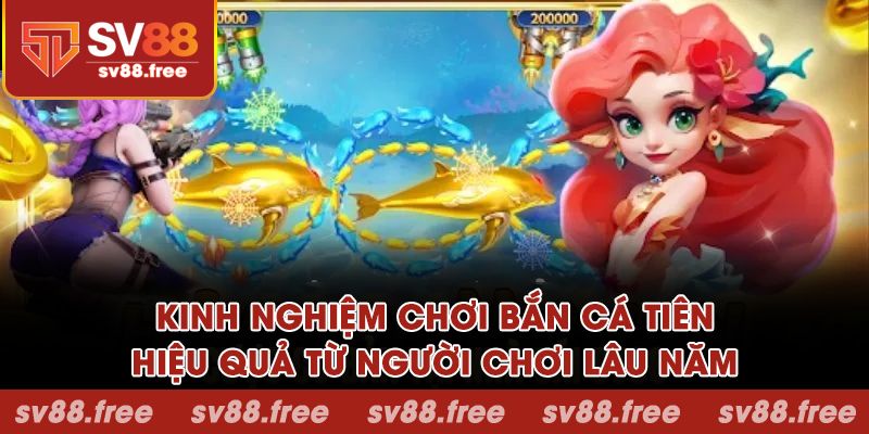 Kinh nghiệm chơi bắn cá tiên hiệu quả từ người chơi lâu năm