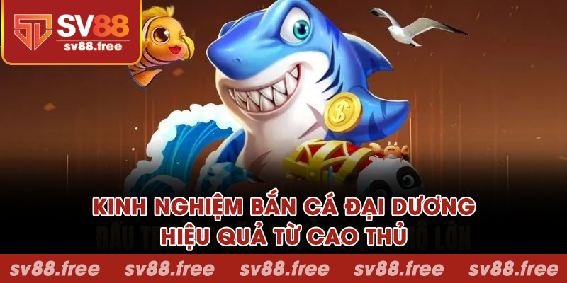 Kinh nghiệm săn boss đại dương hiệu quả từ cao thủ