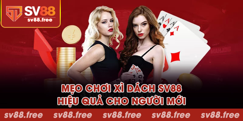Mẹo chơi xì dách SV88 hiệu quả cho người mới