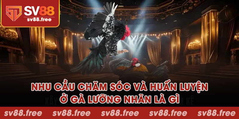 Nhu cầu chăm sóc và huấn luyện ở gà lưỡng nhãn là gì?