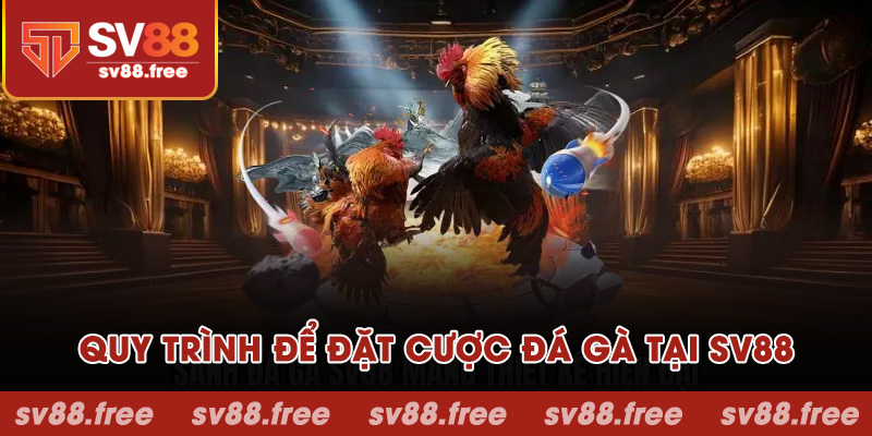 Quy trình để đặt cược đá gà tại SV88