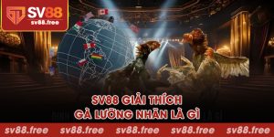 SV88 giải thích về gà lưỡng nhãn là gì?