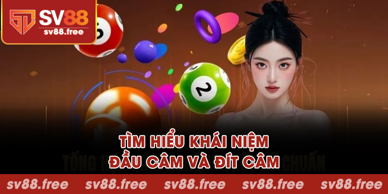 Tìm hiểu khái niệm đầu câm và đít câm